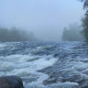 Meet your Posher, Mitchell